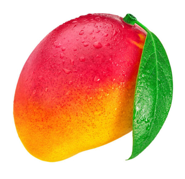 Lengala Mangos - Image 3
