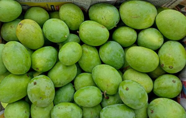 Lengala Mangos