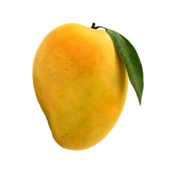 Lengala Mangos - Image 4